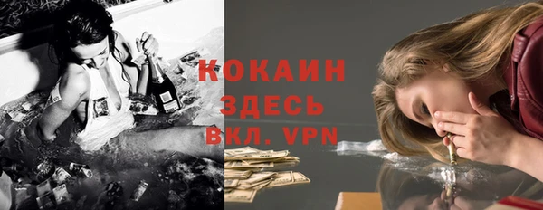 хмурый Нея